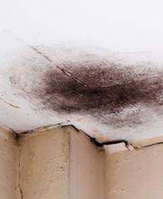 Wasserschaden sanieren in Ibbenbüren und Umgebung