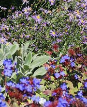 Art D'horizon image 18