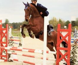 Centre Equestre de Mosnet image 12
