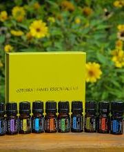 Annegret Müller - Light&Oil | ätherische Öle Bild 1