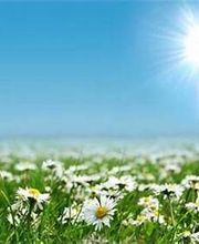 Sabin Marketing and Promotions image 20