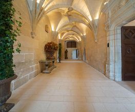 Château Chenonceau image 3