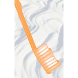 Dr. med. dent. Sachs Roland