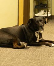 Hand In Health Massage Therapy image 1