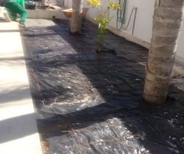 233281294-1-4RRCBMwGPU1702726200154.jpeg