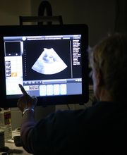 South Putnam Animal Hospital image 7