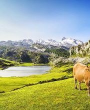 GRANJA ECOLÓGICA CASSOVALL imagen 2