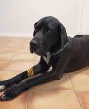 Arca Veterinaria imagen 5