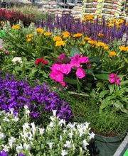 hagebaumarkt Schwerin Bild 15