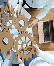 Sebile AG Schweiz Bild 14