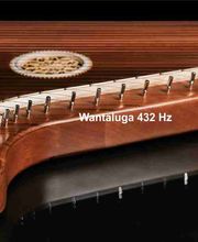 Wantaluga Music Bild 10