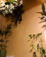 LB Pittura di Luca Baldassari Bild 9