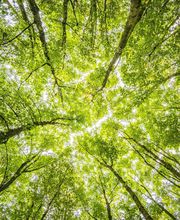 Makur Gebäudedienst GBR Bild 2