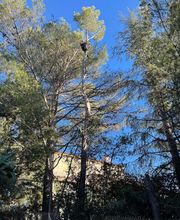 T2H Espaces Verts image 7