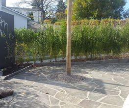 Burkis Gartenpflege AG Bild 4