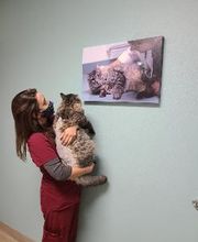 Animal Urgent Care image 9