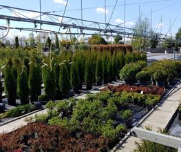 Kienzle Garten GmbH Bild 2