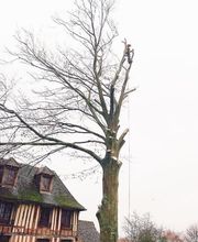 Arbor & Paysage image 6