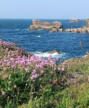 Estelle Naturopathie image 5