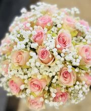 Blumen Leo Bild 1