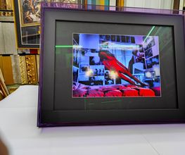 Gallery Cliente