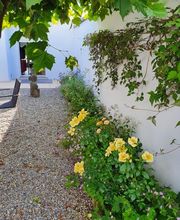 Küng Garten AG Bild 8