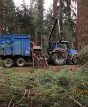 Boomverzorging Bouwmeester