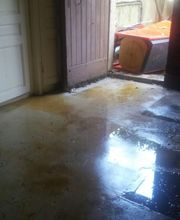 Schutterle Patrick image 1