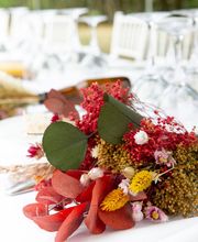 Roche Pavone Reflexologie image 2