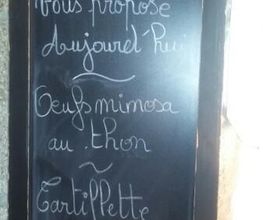 Le Cheval Blanc image 6