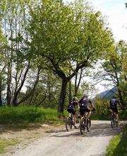 Perraudin Sports Bild 13