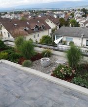 Gerber Gartenbau AG Bild 11