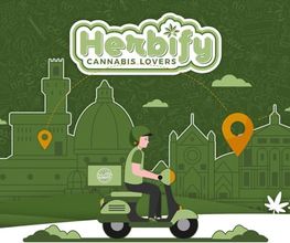 Herbify Cannabis Lovers Delivery immagine 12