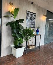 Southeast Medical Massage image 6