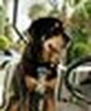 Sabin Marketing and Promotions image 13