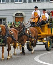FREIHOF Brauerei & Hofstube Bild 10