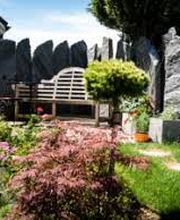 Himmelgrün - Buck Bild 3