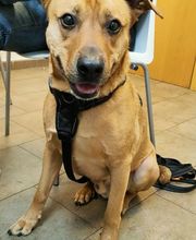 Etologo.es imagen 17