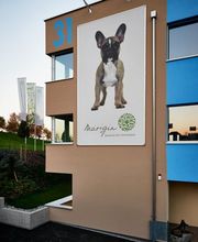 Marigin Tierklinik - 24 Std. Notfalldienst - Zentrum für Tiermedizin Bild 13