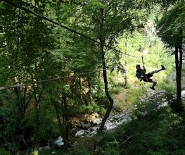 Leman Forest image 1