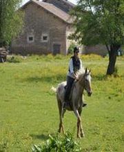 Les Cavaliers D'epona image 2