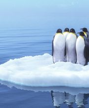 matco engineering ag Bild 1