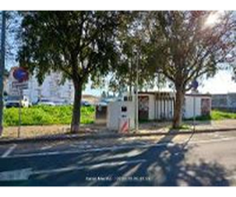 Wenea imagen 2