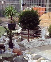 A-Z Garten- und Landschaftsbau Ingo Schmidt Bild 8