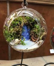 Floristería Campo y Jardín imagen 8