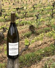 Millet Franck Sarl image 7