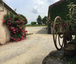 Domaine de Busseroux image 3