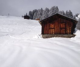 Holzbau Candrian Marcus Bild 6