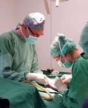 Tierklinik Rhenus AG Bild 5