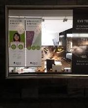 brillen.de & The Good Brand Opticians Bild 1